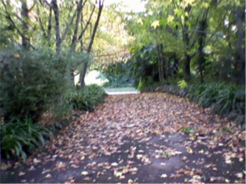 23 Kidmans Lane, Wyong Creek NSW 2259