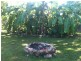 10 Becker Street, Adelaide River NT 0846