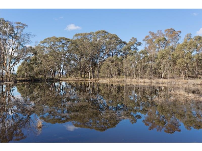 393 Sinclairs Lane, Muckleford VIC 3451