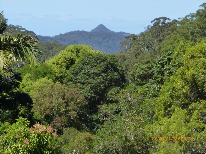 Lot 1 Motts Road, Upper Main Arm NSW 2482