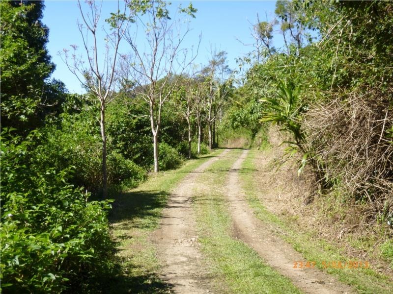 Lot 1 Motts Road, Upper Main Arm NSW 2482