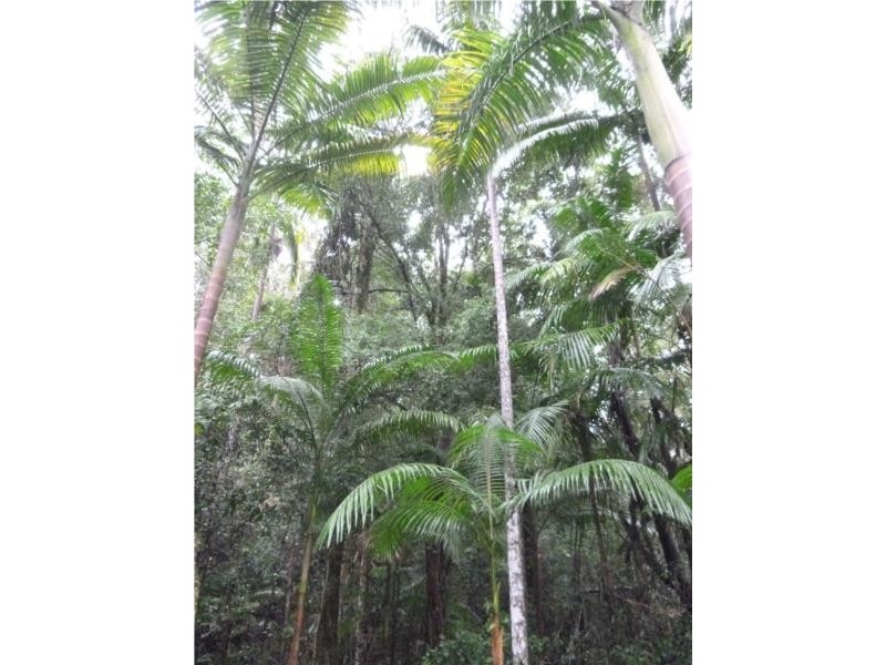 Lot 1 Motts Road, Upper Main Arm NSW 2482
