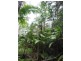 Lot 1 Motts Road, Upper Main Arm NSW 2482