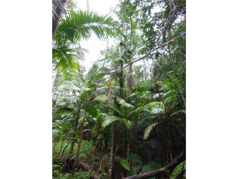 Lot 1 Motts Road, Upper Main Arm NSW 2482