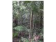 Lot 1 Motts Road, Upper Main Arm NSW 2482
