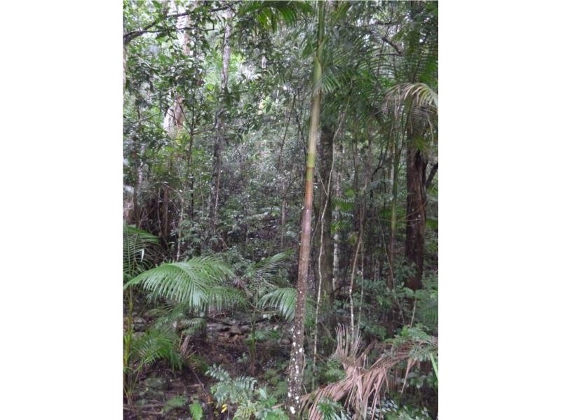 Lot 1 Motts Road, Upper Main Arm NSW 2482