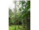 Lot 1 Motts Road, Upper Main Arm NSW 2482