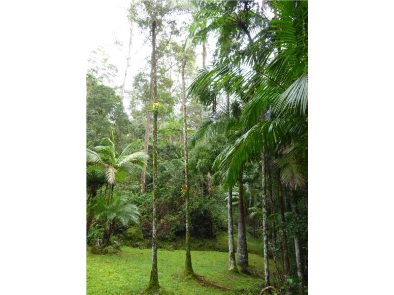 Lot 1 Motts Road, Upper Main Arm NSW 2482