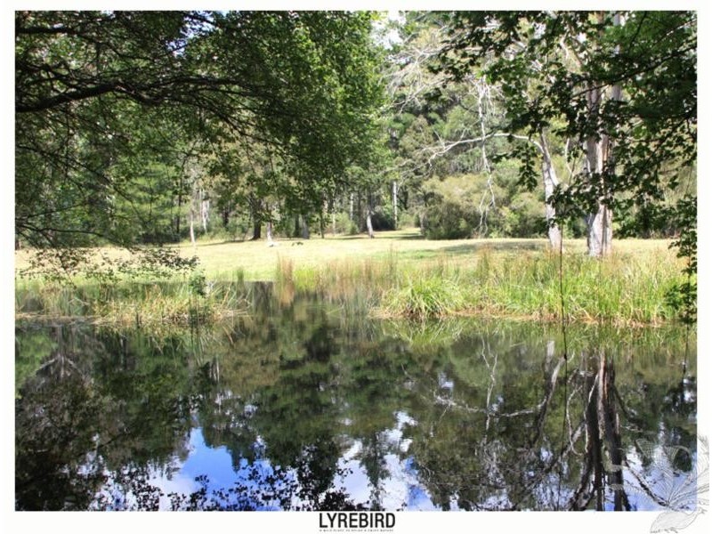 5A Lyrebird Gully Road, Harrietville VIC 3741