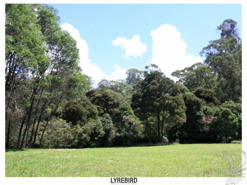5A Lyrebird Gully Road, Harrietville VIC 3741
