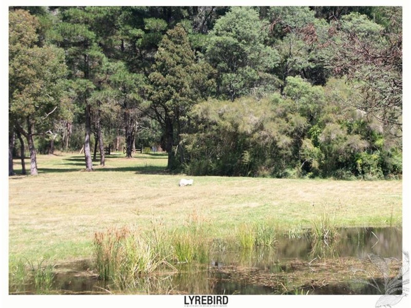 5A Lyrebird Gully Road, Harrietville VIC 3741