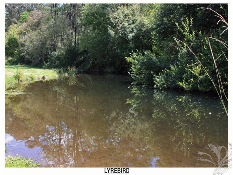 5A Lyrebird Gully Road, Harrietville VIC 3741