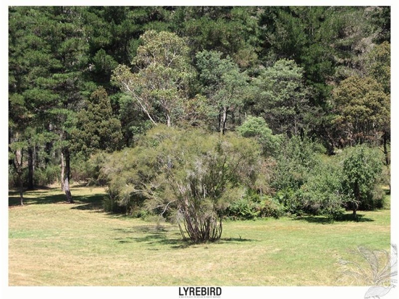 5A Lyrebird Gully Road, Harrietville VIC 3741