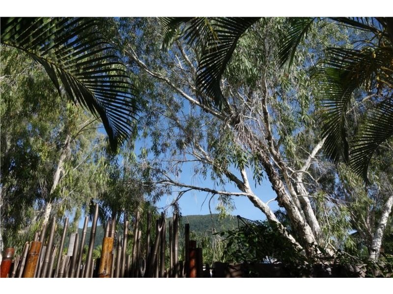 1/28 Oliva Street, Palm Cove QLD 4879