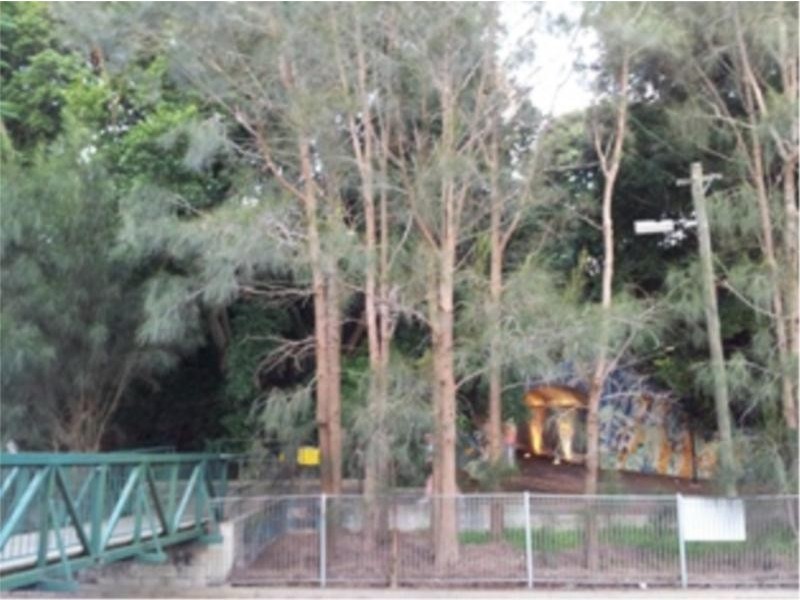 77 Hawthorne Parade, Haberfield NSW 2045