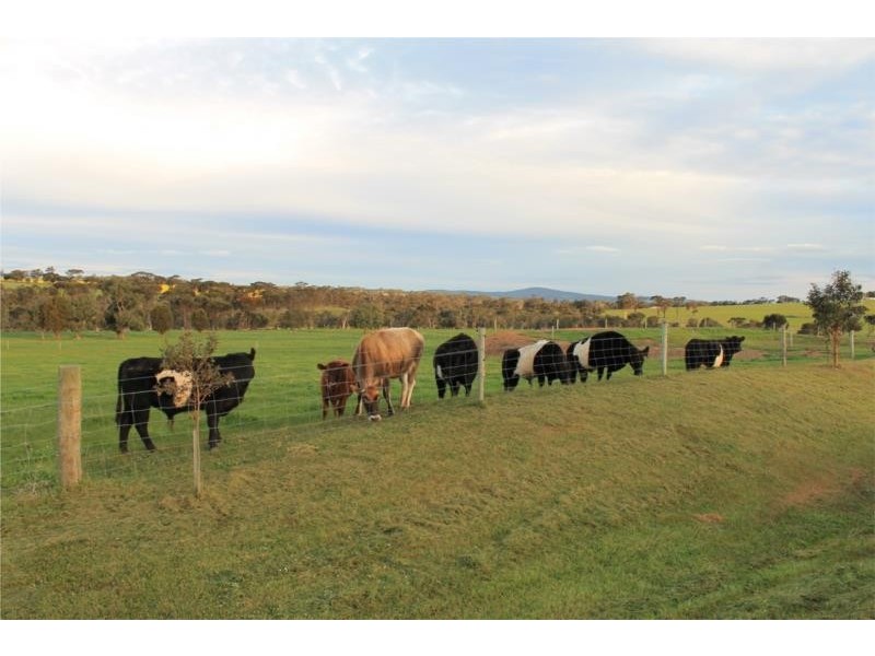 32 Hope Valley View, Kendenup WA 6323