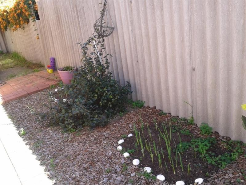 14/33 Seaforth Ave, Gosnells WA 6110