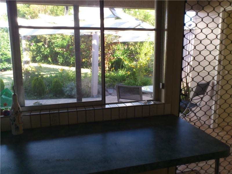 149 Cowper Street, Tenterfield NSW 2372