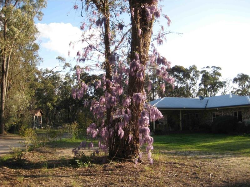 3 McGrath Lane, Applethorpe QLD 4378