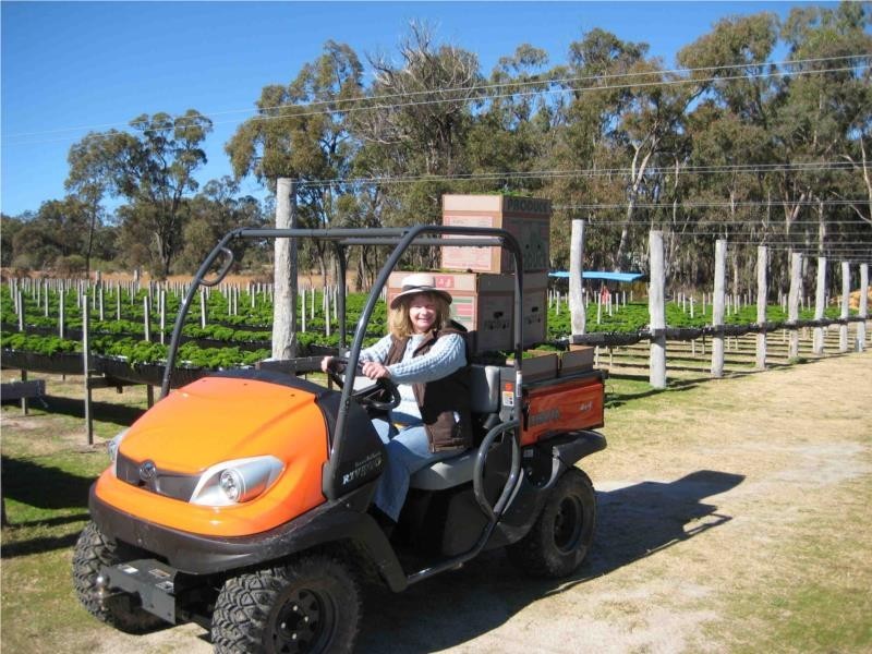 3 McGrath Lane, Applethorpe QLD 4378