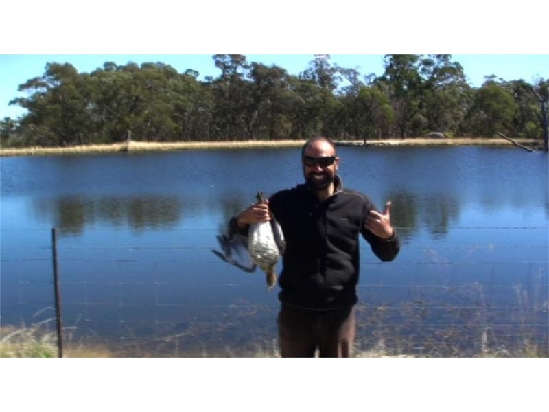 3 McGrath Lane, Applethorpe QLD 4378