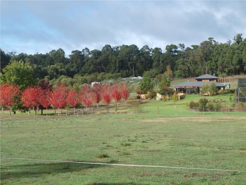 70 Holyoake Road, Dwellingup WA 6213