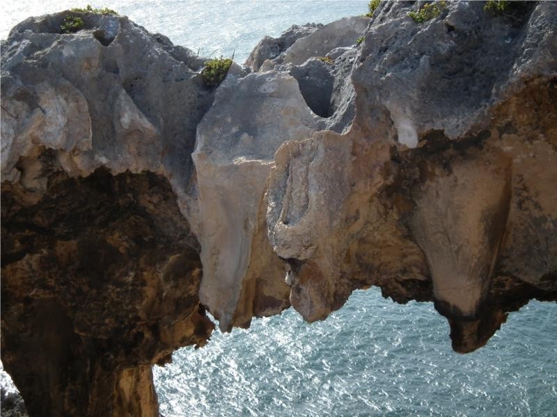 Lot 87 Windy Harbour Road, Windy Harbour WA 6262