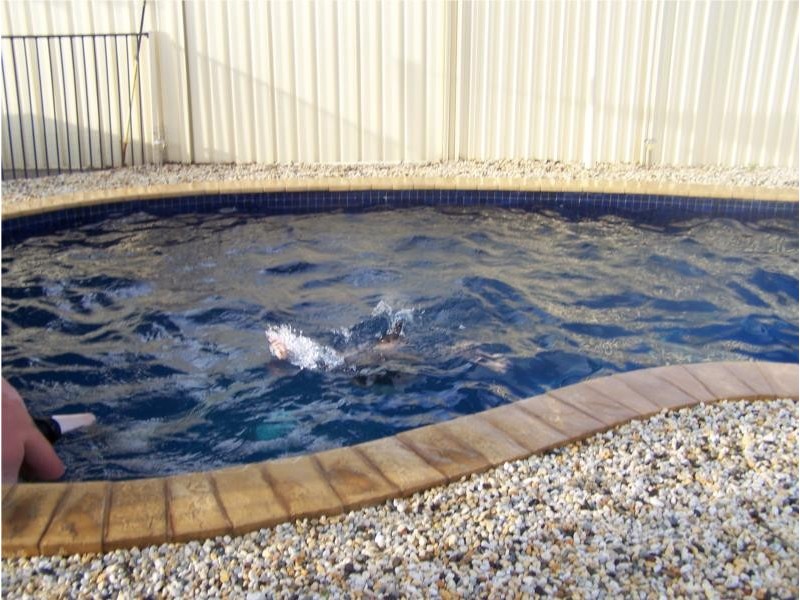 25 Paradise Court, Kialla VIC 3631