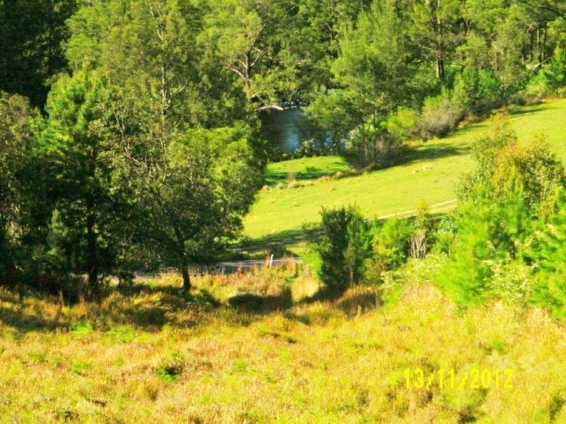 341 Moonpar Rd, Bostobrick via, Dorrigo NSW 2453