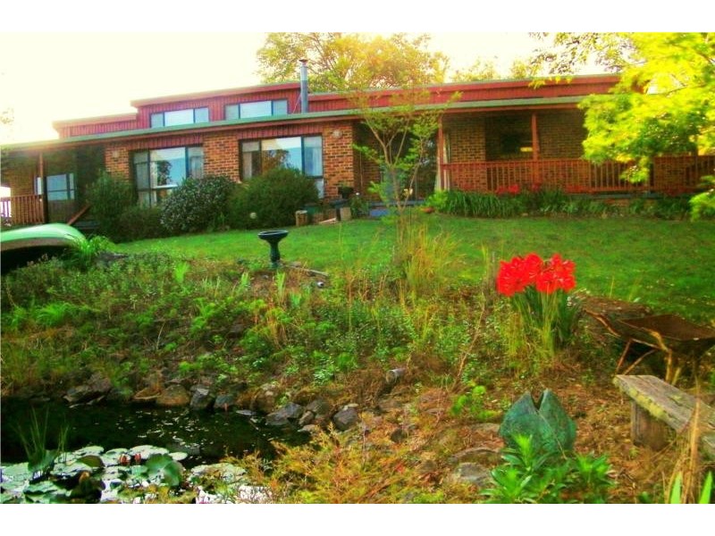 341 Moonpar Rd, Bostobrick via, Dorrigo NSW 2453