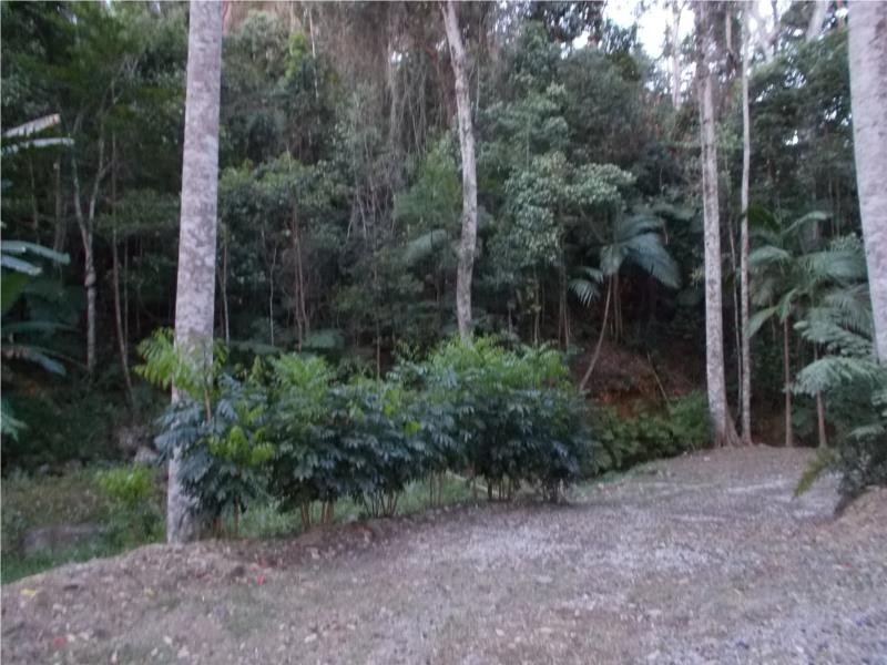 Tallebudgera Valley QLD 4228