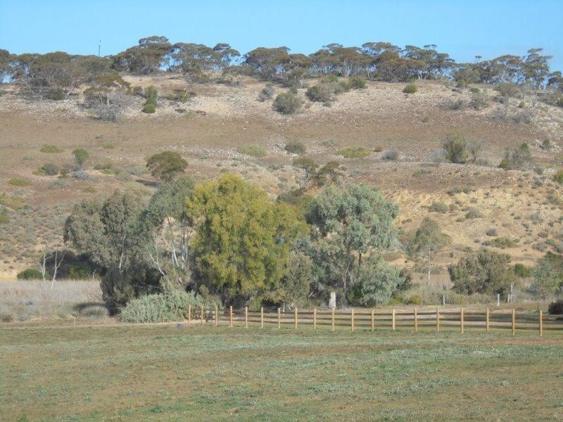 7952 Murraylands Road, Black Hill SA 5353