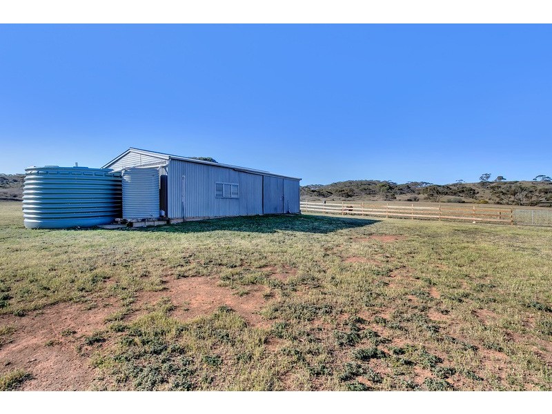 7952 Murraylands Road, Black Hill SA 5353