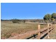 7952 Murraylands Road, Black Hill SA 5353