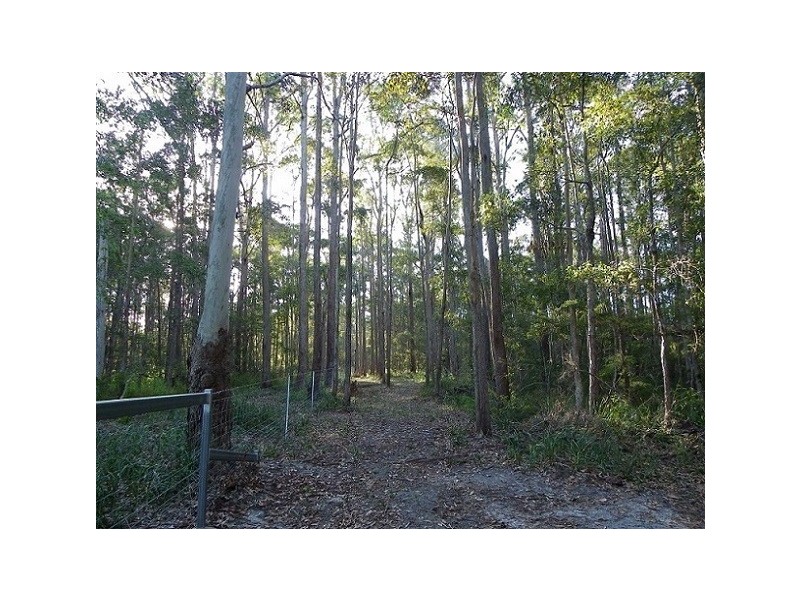 69 Hempsall Road, Cootharaba QLD 4565