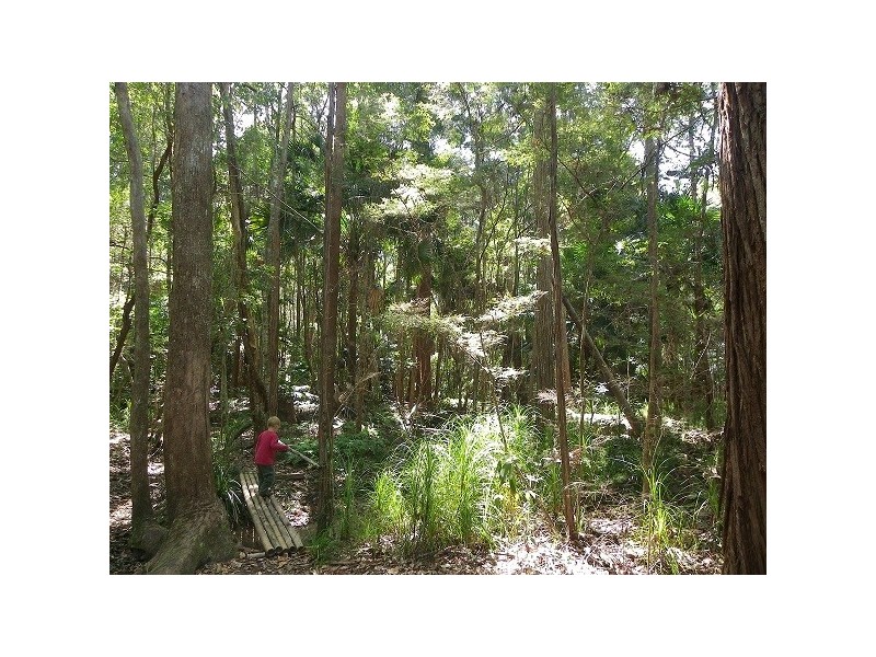 69 Hempsall Road, Cootharaba QLD 4565