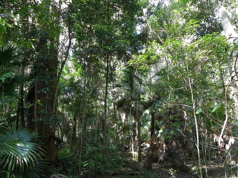 69 Hempsall Road, Cootharaba QLD 4565