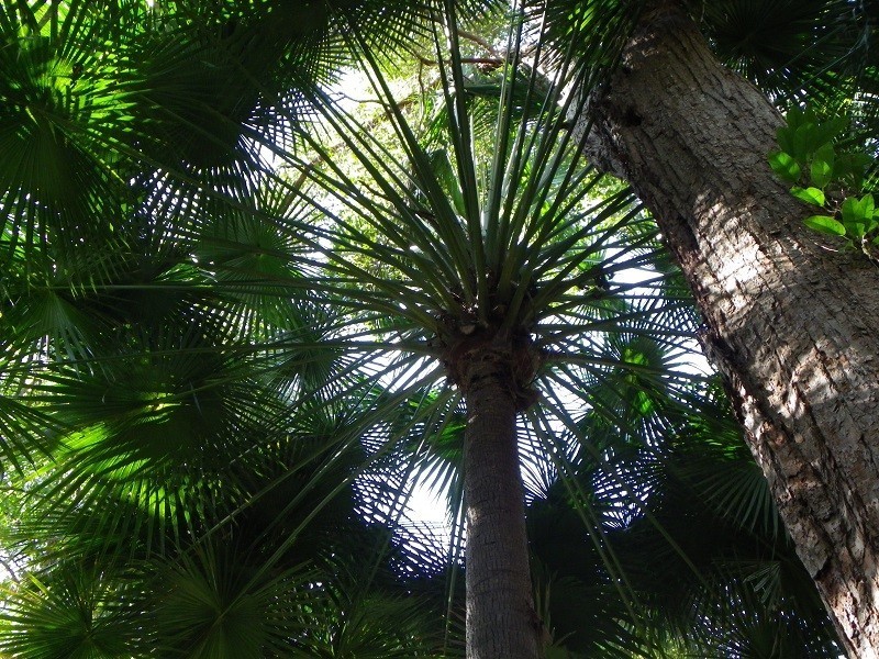 69 Hempsall Road, Cootharaba QLD 4565