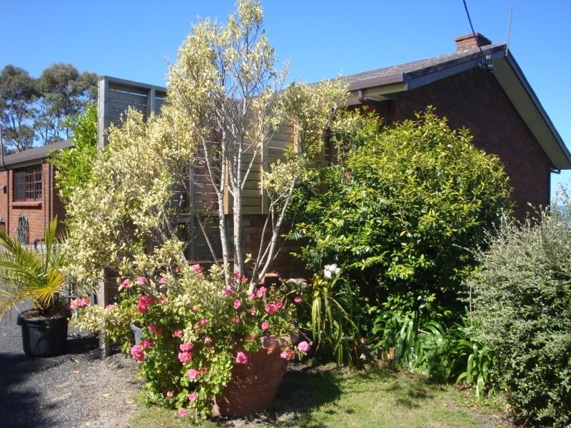 2-3 The Esplanade, Bicheno TAS 7215