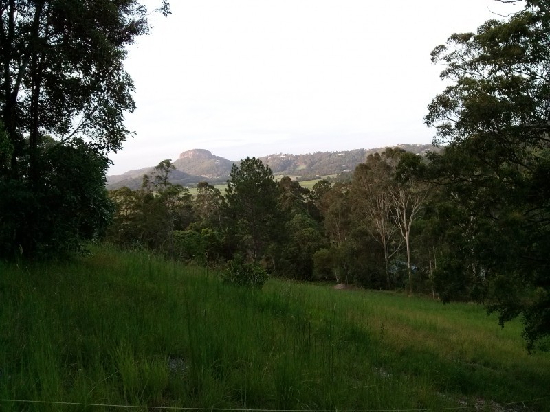 61-63 Gallery Drive, Bli Bli QLD 4560