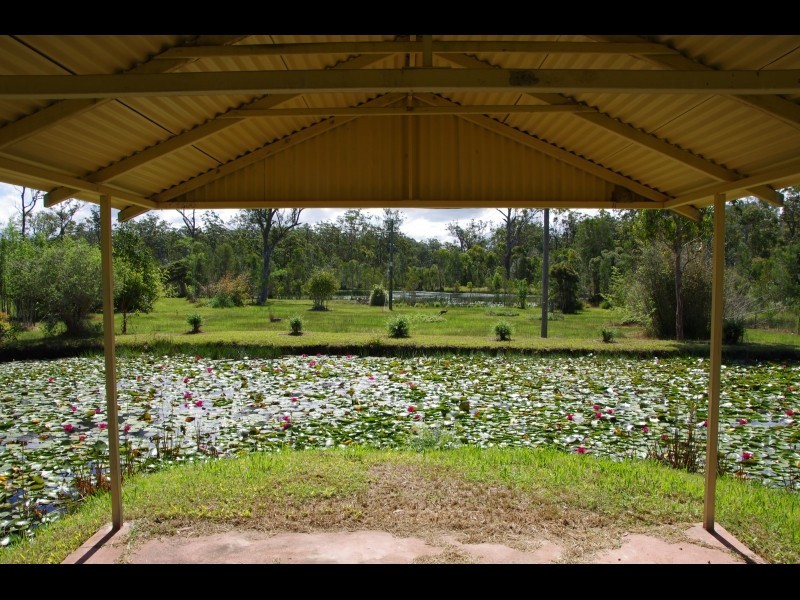 220 Seale Road, Verges Creek NSW 2440