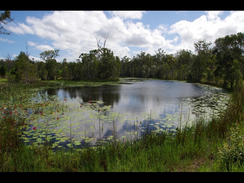 220 Seale Road, Verges Creek NSW 2440