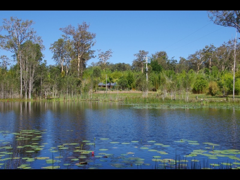 220 Seale Road, Verges Creek NSW 2440