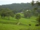Putty NSW 2330