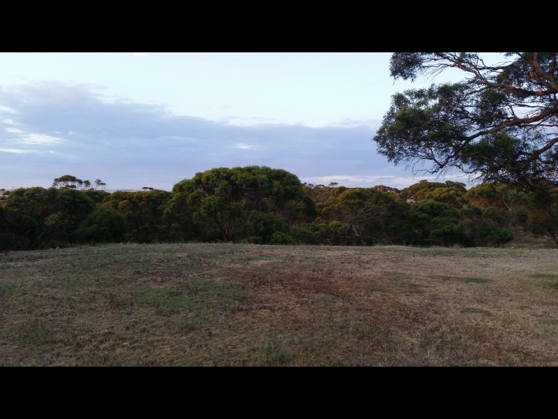 15/50-60 Bronze Wing Drive, Boston SA 5607