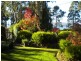 211 Bradys Lake Road, Bradys Lake TAS 7140