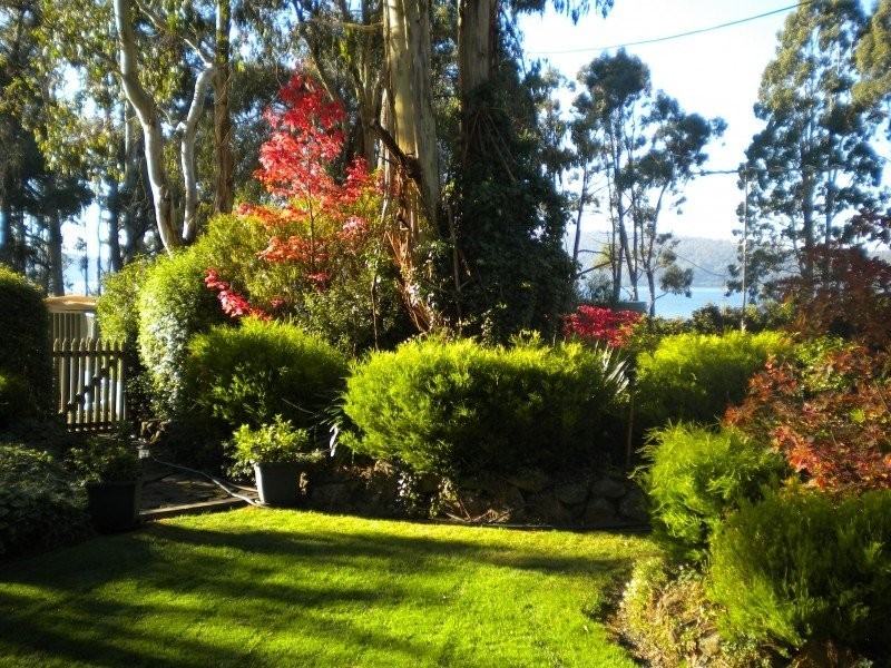 211 Bradys Lake Road, Bradys Lake TAS 7140