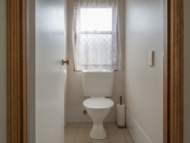 39 Tremain street, Tingalpa QLD 4173