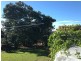 33 Fisher Street, Manly QLD 4179
