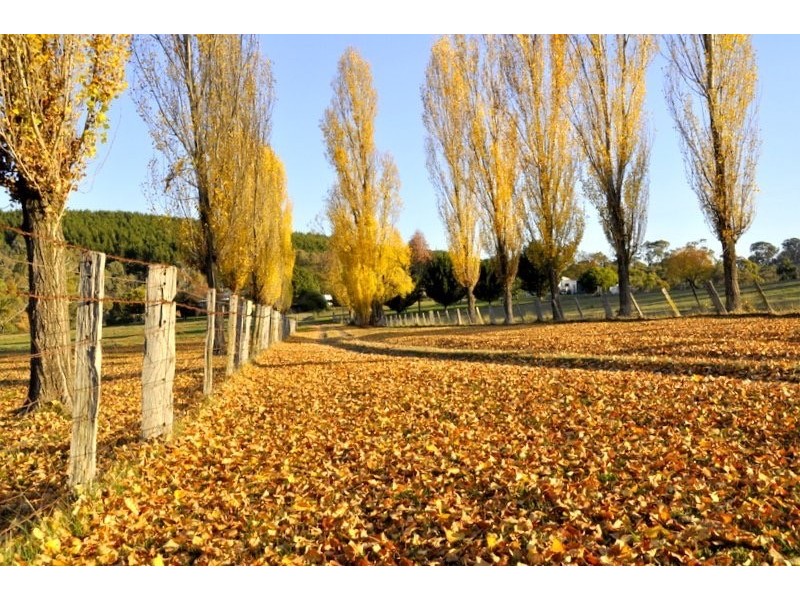 1236 Tooma Road, Tumbarumba NSW 2653